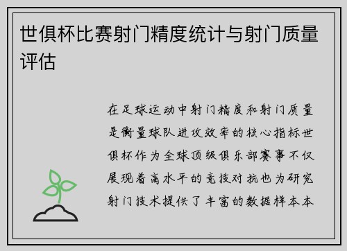 世俱杯比赛射门精度统计与射门质量评估